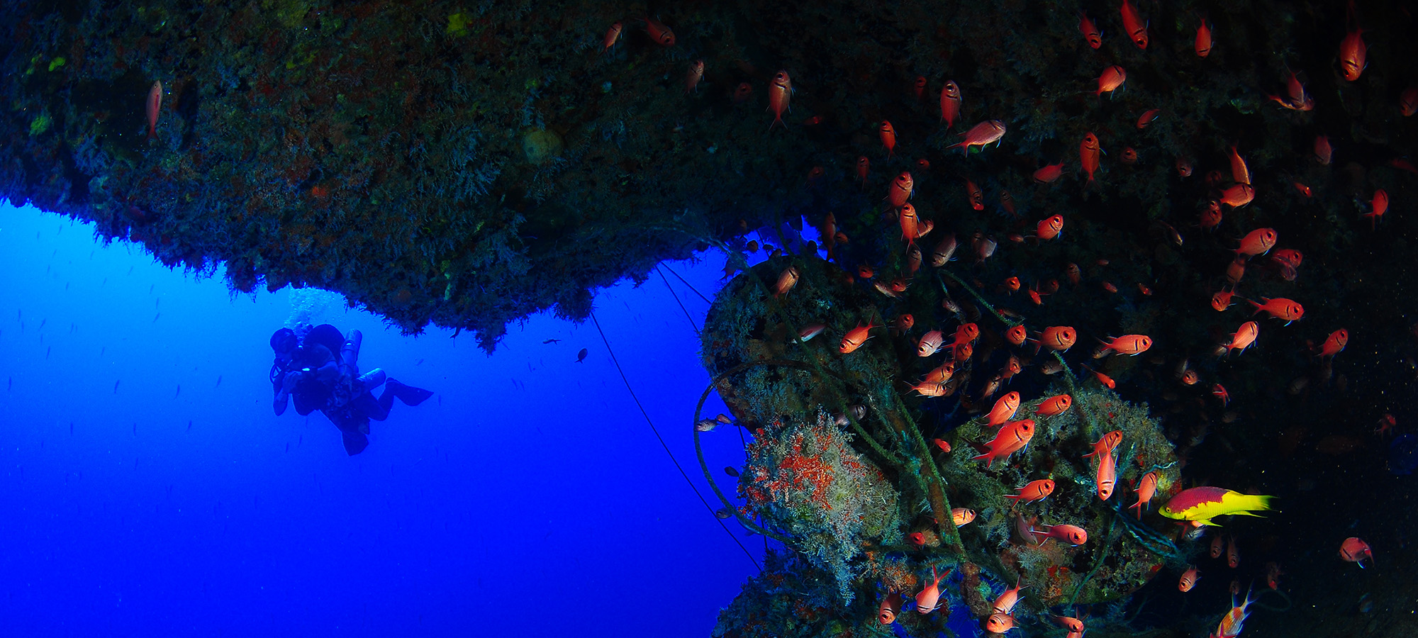 Technical Diver